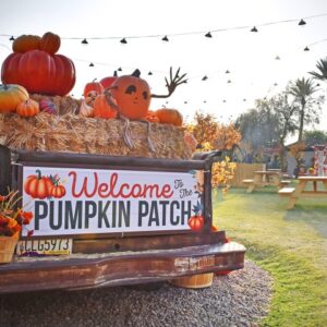 Fairmont Princess Pumpkin Patch in Scottsdale AZ